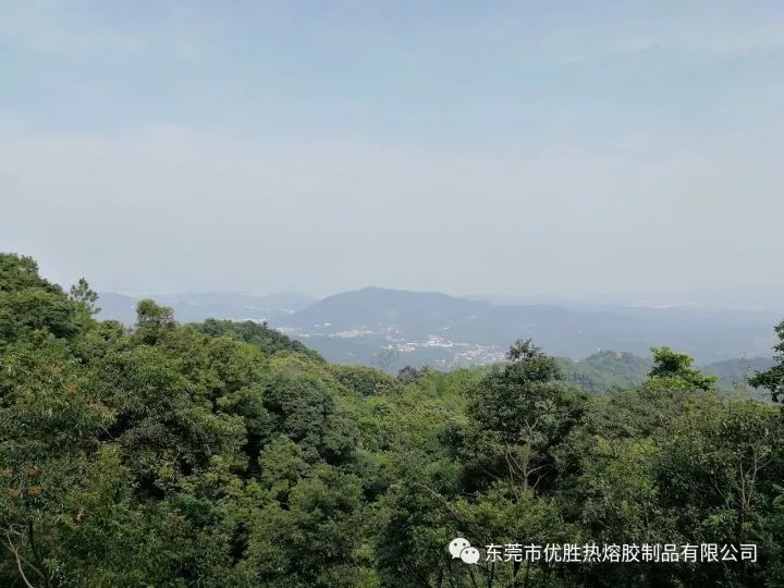 1509956714336165.jpg 12.webp.jpg