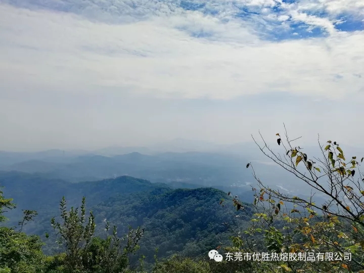 1509956827762595.jpg 16.webp.jpg